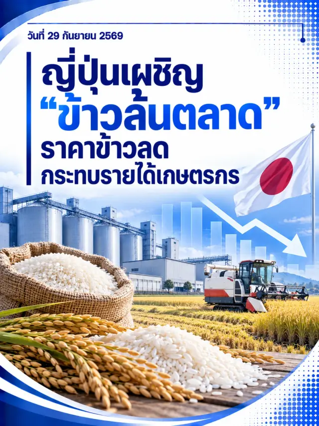 ญี่ปุ่นเผชิญ "ข้าวล้นตลาด" ราคาข้าวลด กระทบรายได้เกษตรกร 