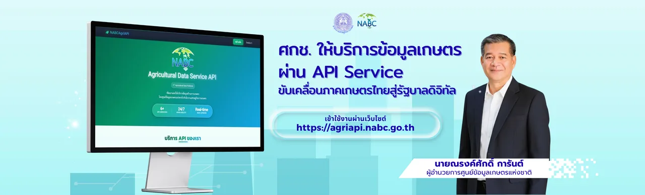 API Service