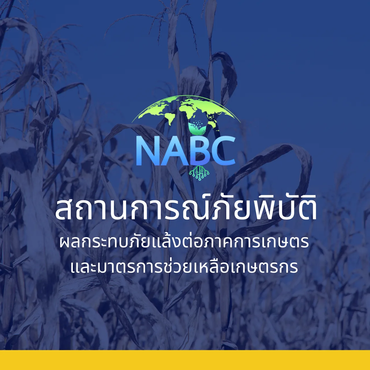ผลกระทบภัยแล้งต่อภาคเกษตรและมาตรการช่วยเหลือเกษตร